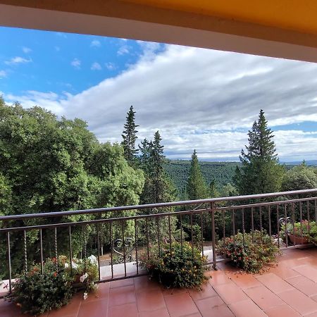 Casa Bruna - Cipresseta del Chianti Castellina in Chianti Esterno foto