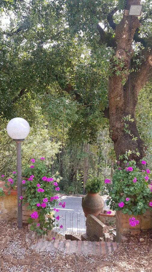 Casa Bruna - Cipresseta del Chianti Castellina in Chianti Esterno foto