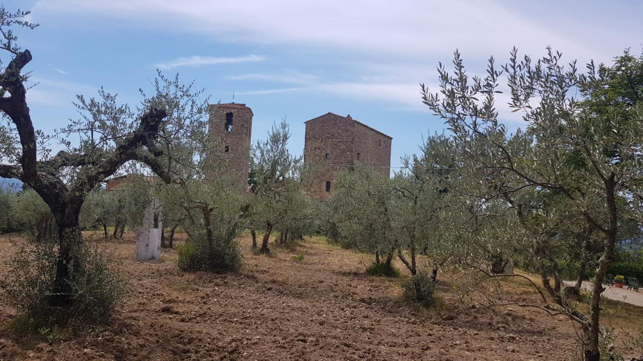 Casa Bruna - Cipresseta del Chianti Castellina in Chianti Esterno foto
